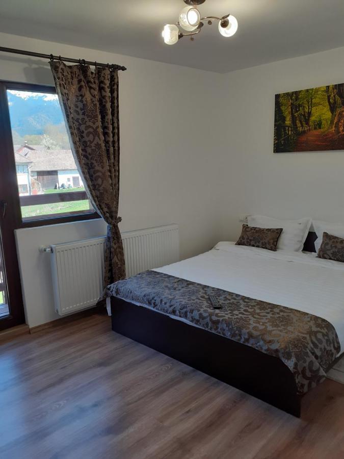 Casa Mosoiu Apartment Bran  Ngoại thất bức ảnh