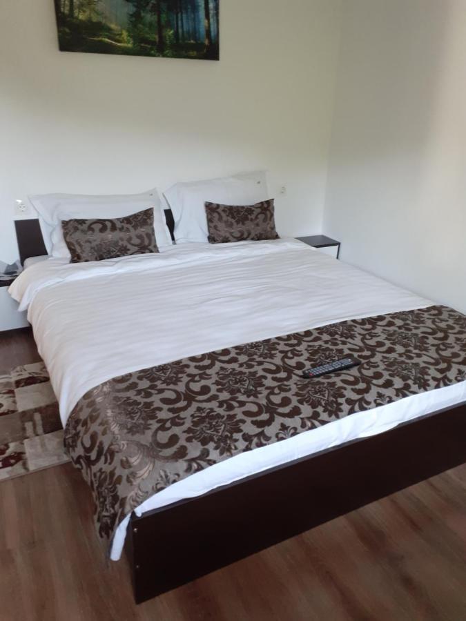 Casa Mosoiu Apartment Bran  Ngoại thất bức ảnh